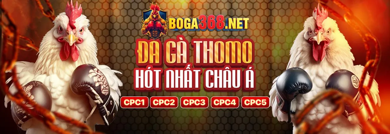 Tin tức và ưu đãi mới nhất từ 8ket bet